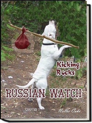 cover image of Russian Watch...Kicking Rocks Chapter 7